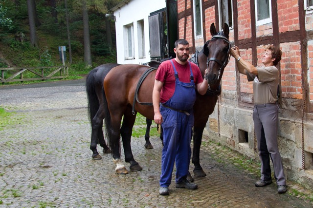 Mittel (2010-08-26-3325)